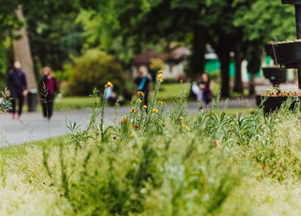 Natural Capital