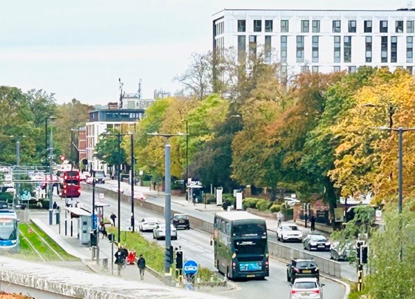 An elevated wide shot of a bustling urban transit corridor during autumn. On the left, a blue-and-silver tram sits at a modern stop. The main multi-lane road is filled with traffic, including a dark double-decker bus, a red double-decker bus, and several cars. Vibrant autumn trees with yellow and green leaves border the road, set against a backdrop of a large multi-story white building.
