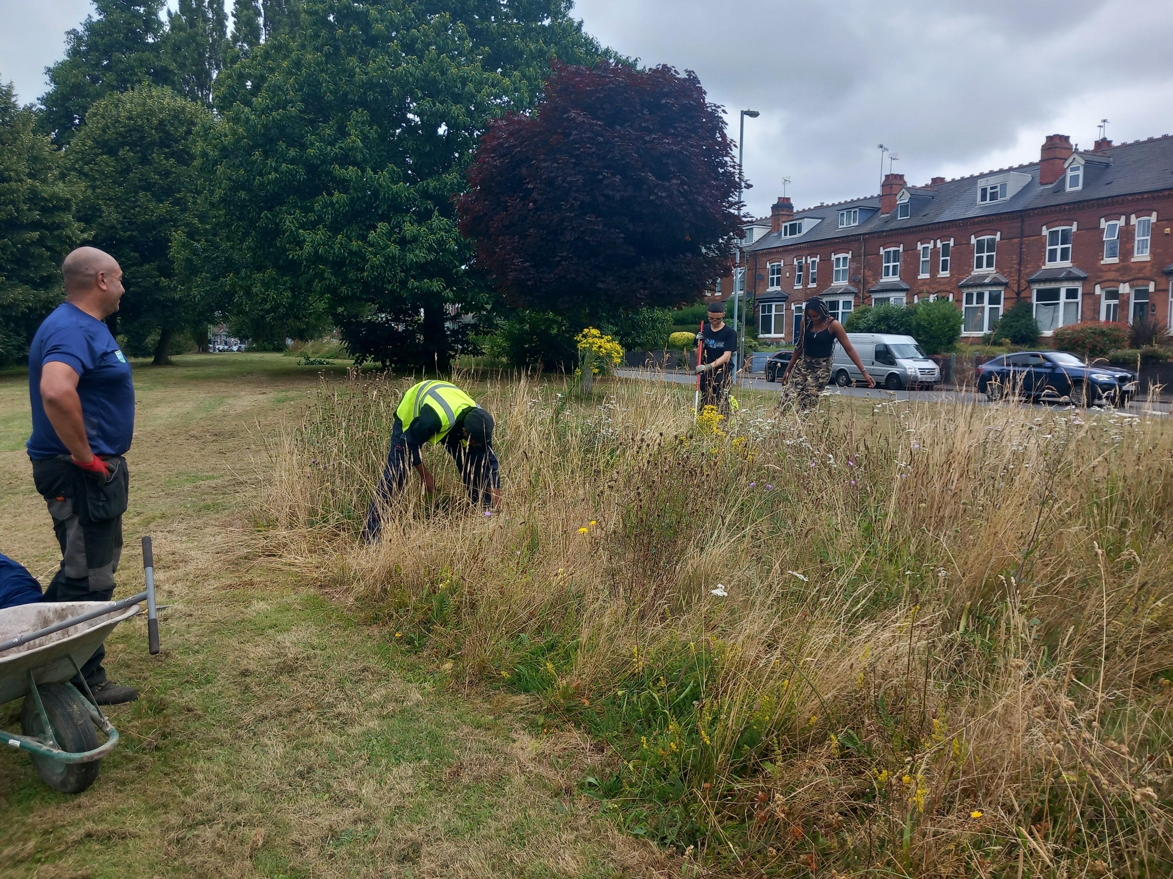 A group of people clearing through some long grass