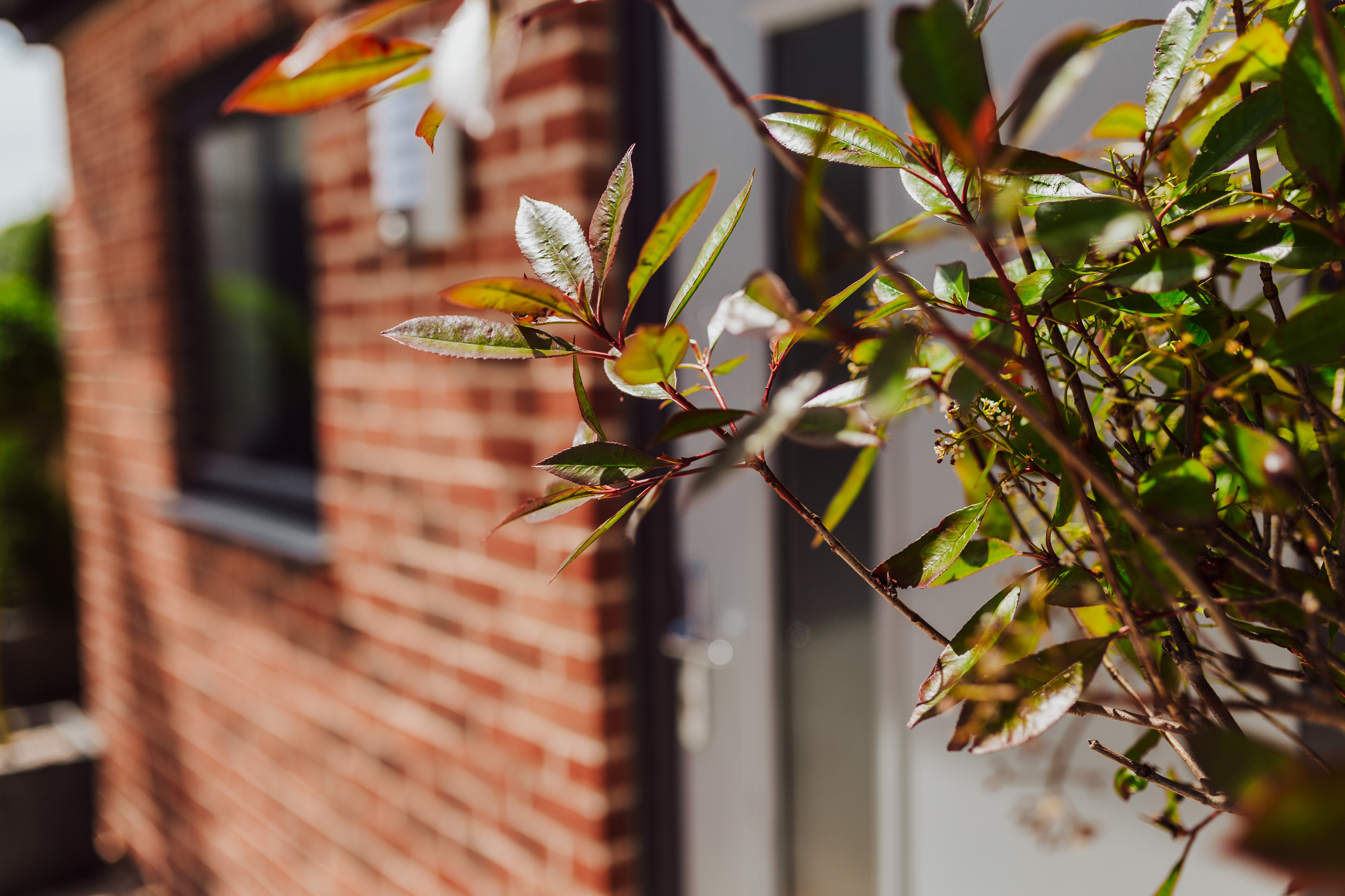 WMG Walsall Accord 42