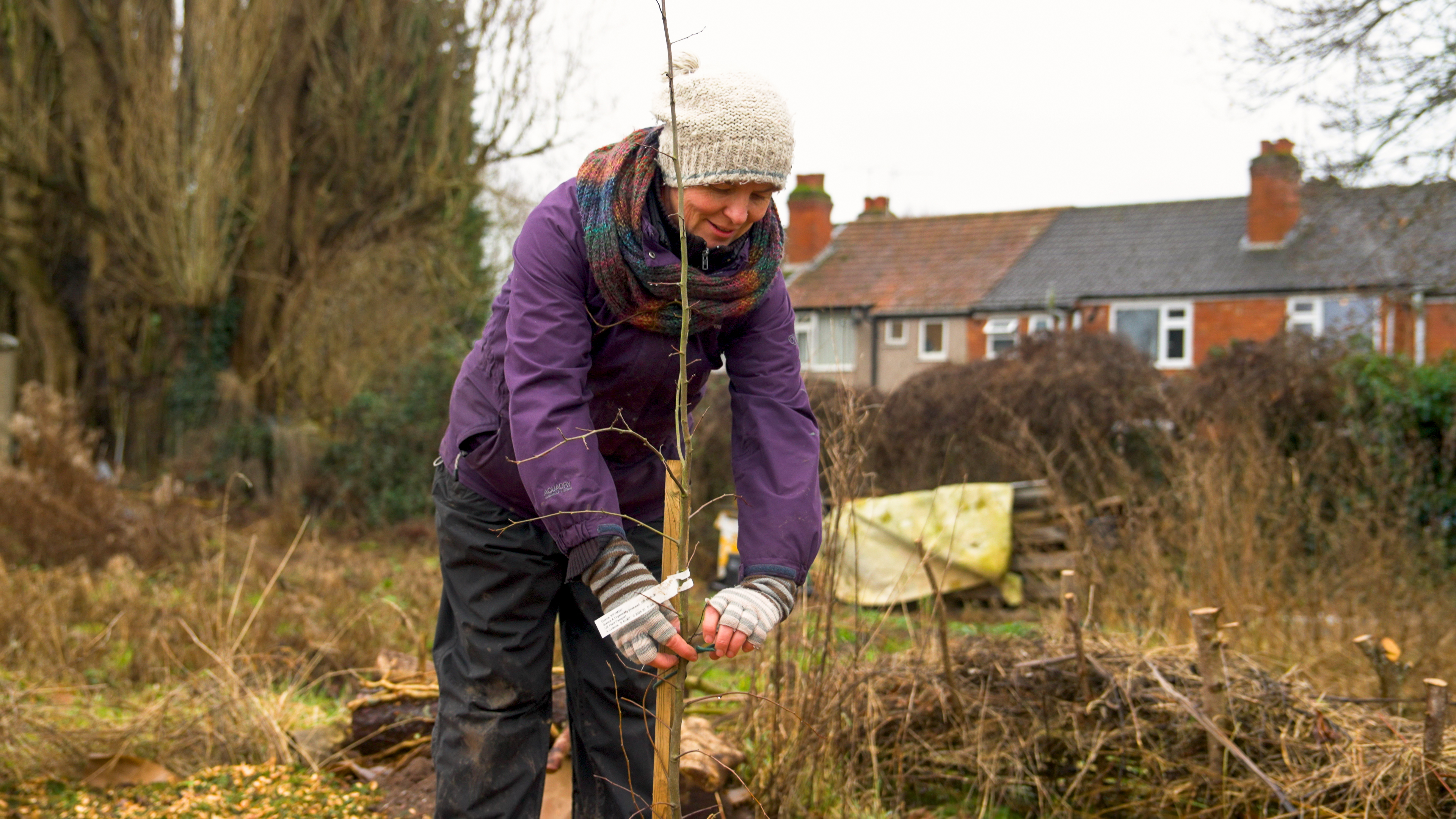 A person doing some gardening in allotments. 
