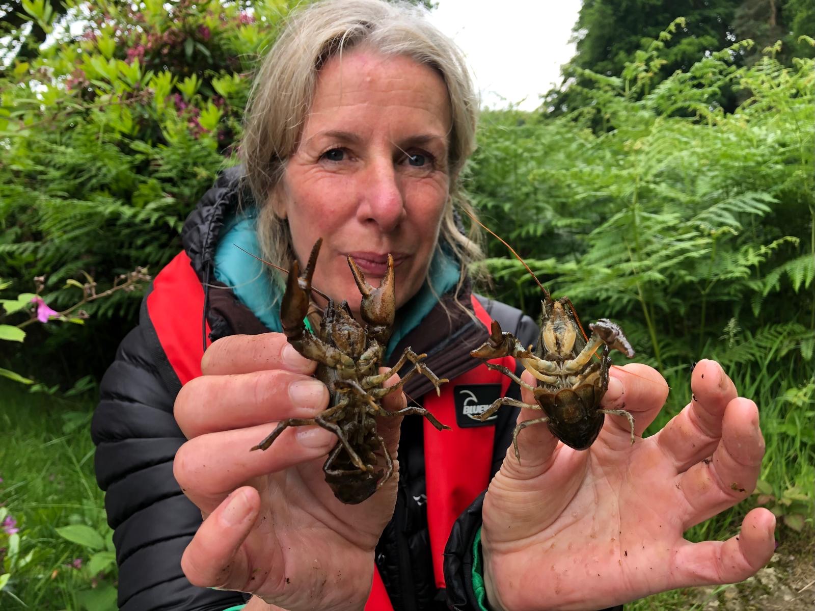 A woman holding two cray fish in her hands 