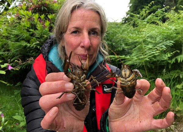 A woman holding two cray fish in her hands 