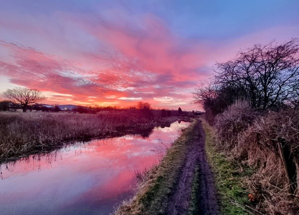 A sunset over a river, the sky is pink and blue and reflects in the water. 