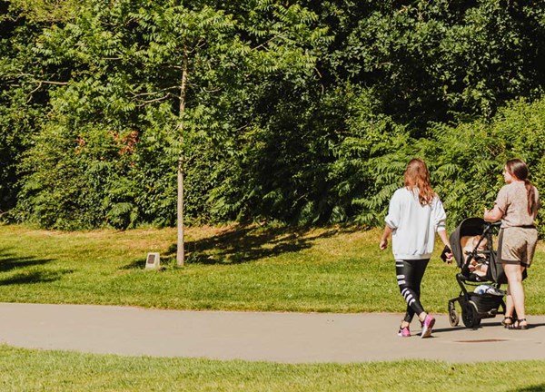 People Walking In A Park