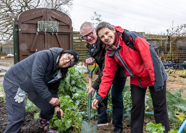 Hundreds Of New Trees To Be Planted